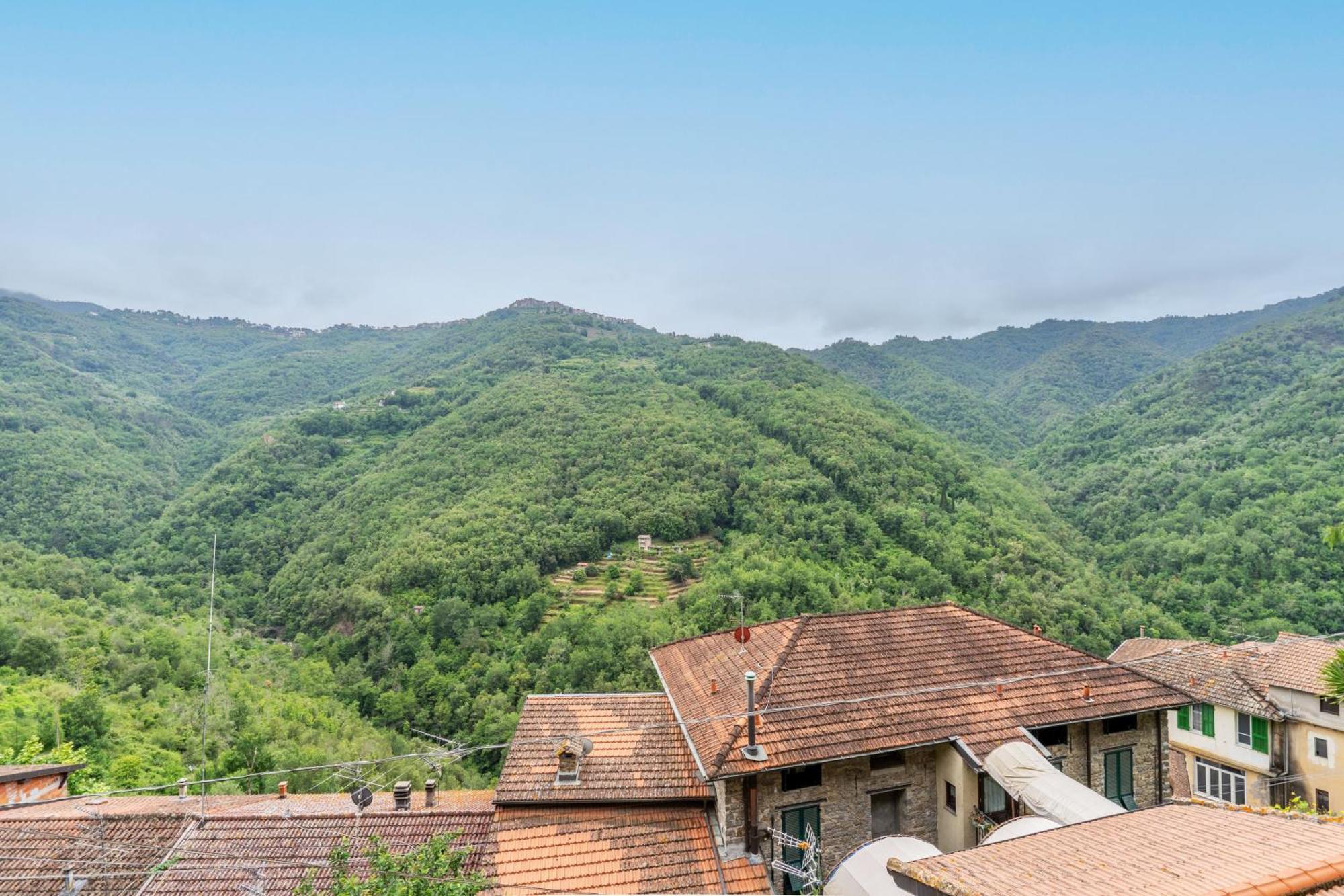 Le Chat Apricale Esterno foto